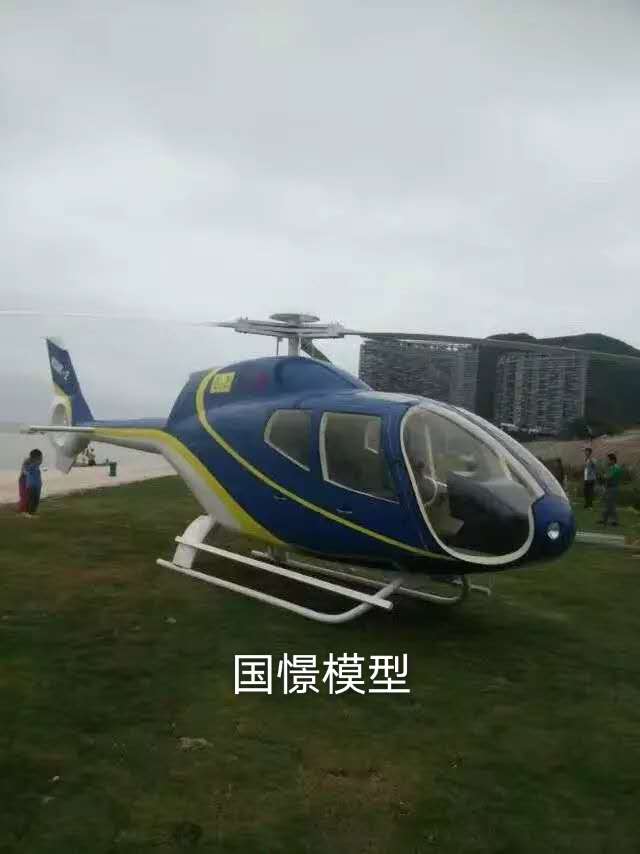 蓬安县飞机模型